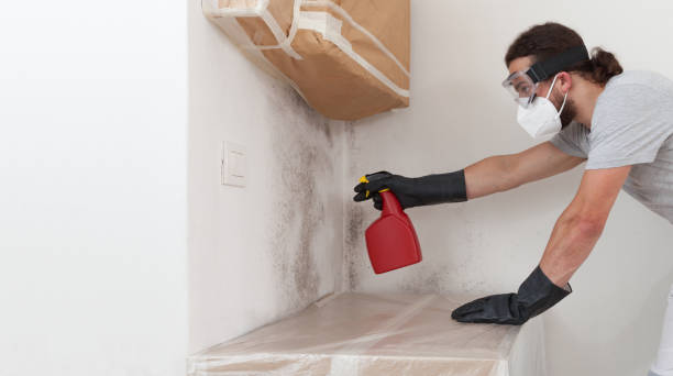 Professional Mold Removal technician working in Maple, NC