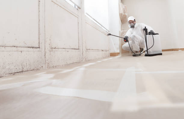 24/7 Emergency Mold Removal experts in Maple, NC